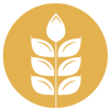 Crop Informatics logo